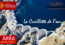 La cueillette de l’eau.
